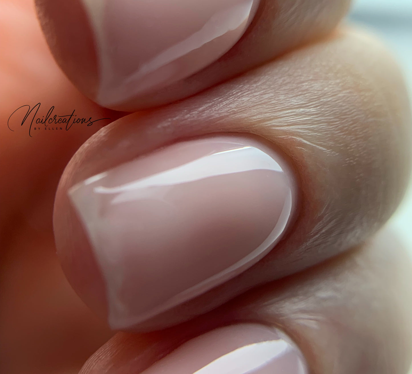 Privé basisopleiding BIAB te Eeklo