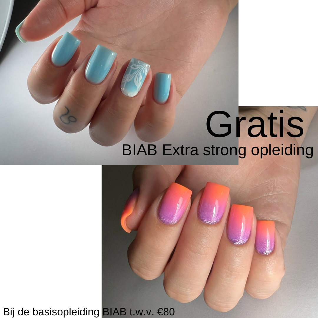 Basisopleiding BIAB (in groep) - €750 (€100 voorschot)